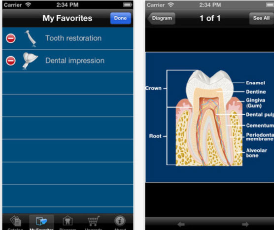 Dental Treatment details